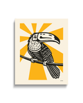 Tucano