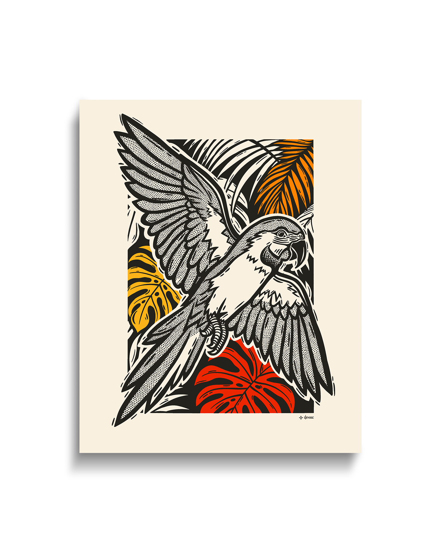 Arara