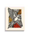 Arara
