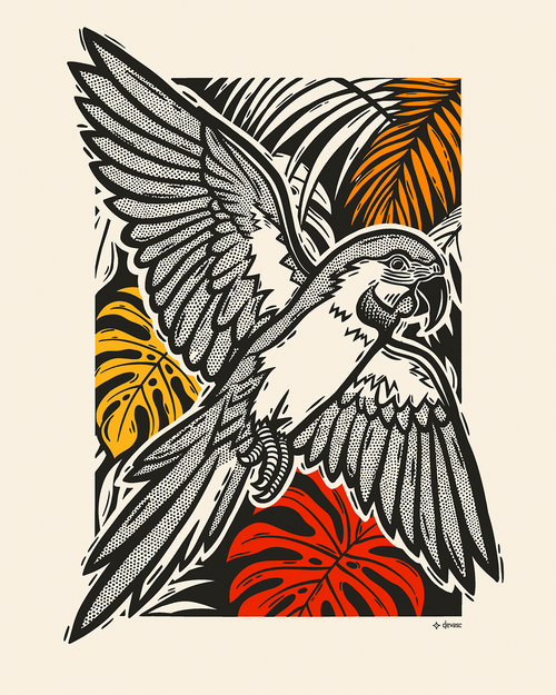 Arara